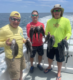 Reel in Black SeaBass at Point Pleasant!